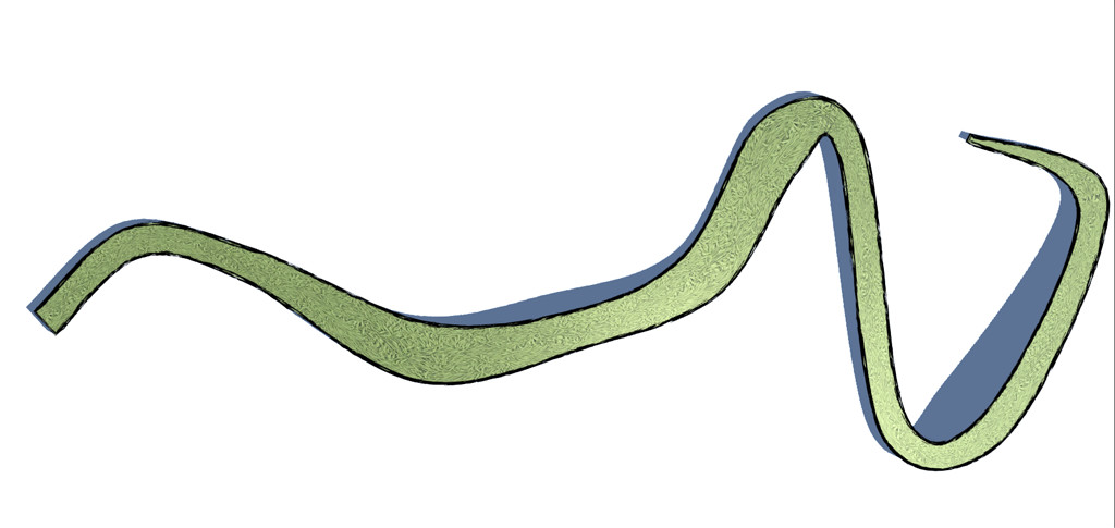 Generated spline with automatic outlines